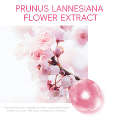 Sakura Hyaluronic Acid Eye Serum – 15ml