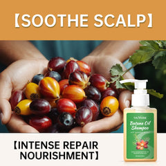 Batana Oil Hair Strengthening Shampoo & Conditioner